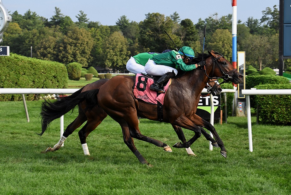Sifting Sands, horse, Duwabi, Better Talk Now Stakes, domingo, 29 de agosto de 2021, Saratoga. Foto: Coglaniese Photo