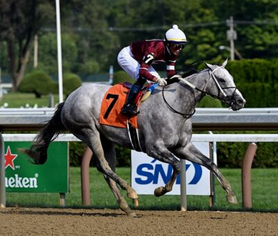 Wicked Halo, horse, Gun Runner, Winchell Thoroughbreds, domingo, 8 de agosto de 2021, Saratoga. Foto: Coglaniese Photo