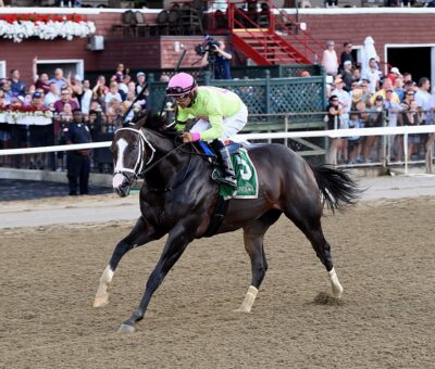 Wondrwherecraigis, horse Munnings, Tale Of The Cat Stakes, viernes, 13 de agosto de 2021, Saratoga. Foto: Coglaniese Photo & Chelsea Durand