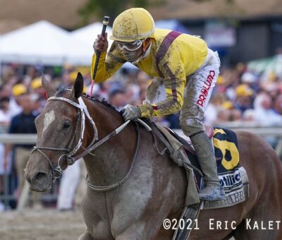Clairiere, horse, Curlin, Cotillion Stakes, sábado, 25 de septiembre de 2021, Parx Racing. Foto: Eric Kalet