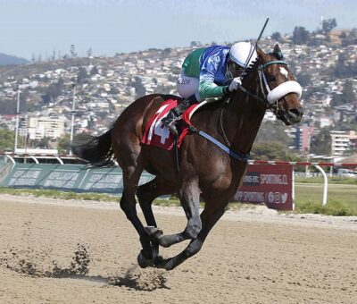 Coppola, horse, Stud Matriarca, Clásico Gustavo Rivera Baeza, miércoles, 15 de septiembre de 2021, Valparaíso Sporting Club. Foto: Jaime Cortés