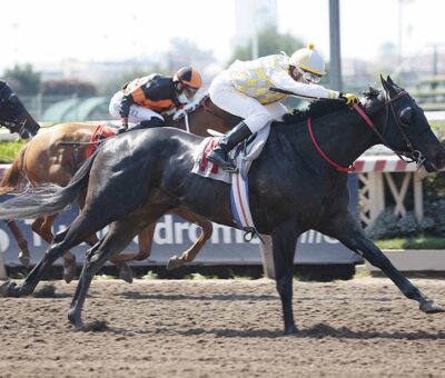 Encanto Veloz, horse, Verrazano, Clásico Juan Diuana Zamar, sábado, 18 de septiembre de 2021, Hipódromo de Chile. Foto: Jaime Cortés
