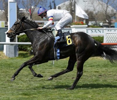 Historia Clásica, horse, Sposito, Clásico Ejército de Chile, lunes, 13 de septiembre de 2021, Club Hípico de Santiago. Foto: Jaime Cortés