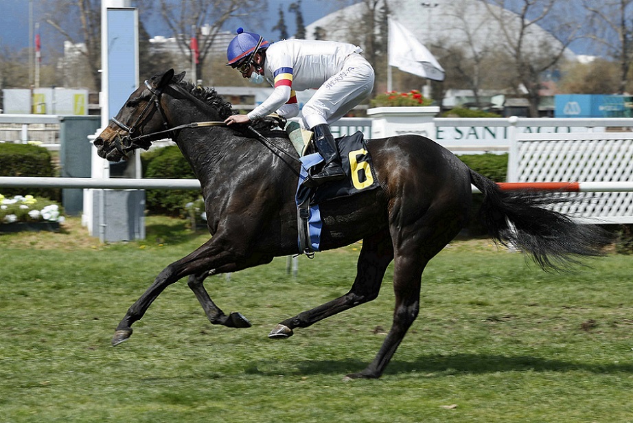 Historia Clásica, horse, Sposito, Clásico Ejército de Chile, lunes, 13 de septiembre de 2021, Club Hípico de Santiago. Foto: Jaime Cortés