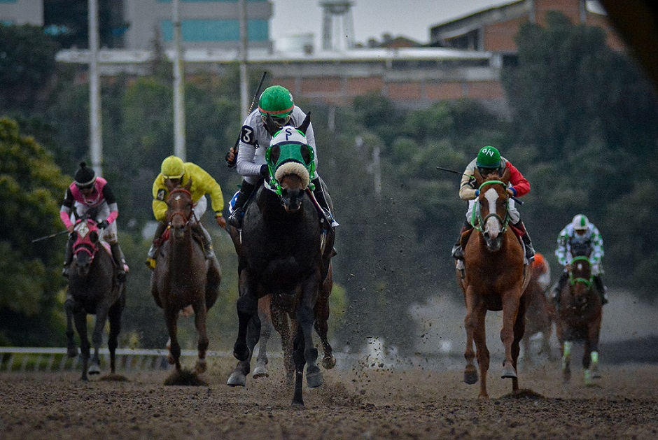 Ibérico, horse, Zeewat, División Clásico Carlos Gómez, sábado, 4 de septiembre de 2021, Hipódromo de Las Américas. Foto: Miguel Ángel Espinoza