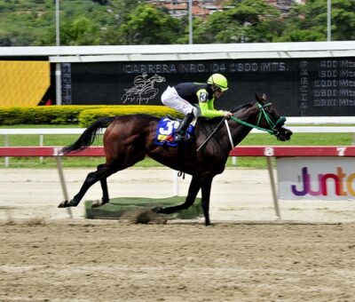 Sandovalera, horse, King Seraf, XVIII Clásico Millard Ziadie, domingo, 12 de septiembre de 2021, La Rinconada. Foto: José Antonio Aray