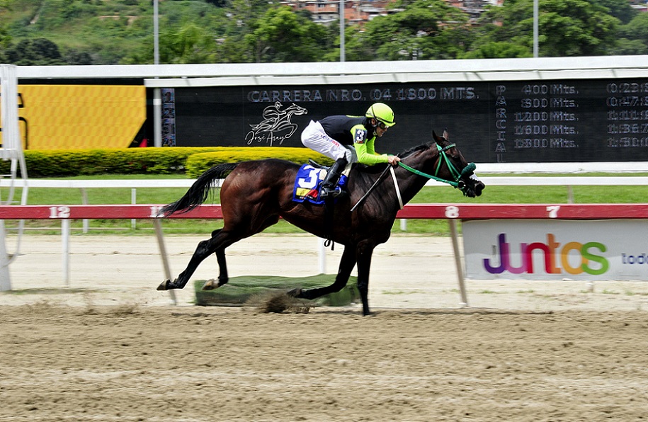 Sandovalera, horse, King Seraf, XVIII Clásico Millard Ziadie, domingo, 12 de septiembre de 2021, La Rinconada. Foto: José Antonio Aray