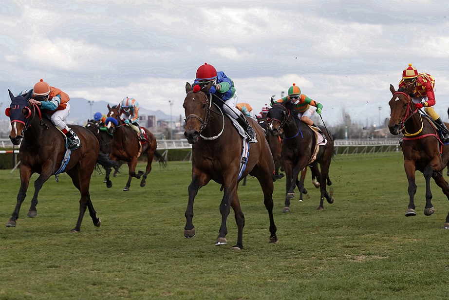 Sweet Declararion, horse, Stud Matriarca, Carrera Condicional, lunes, 13 de septiembre de 2021, Club Hípico de Santiago. Foto: Jaime Cortés