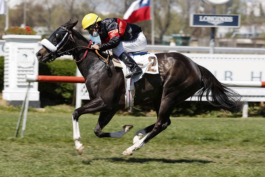 Terpsicora, horse, Verrazano, Clásico Valparaíso Sporting Club, lunes, 27 de septiembre de 2021, Club Hípico de Santiago. Foto: Jaime Cortés