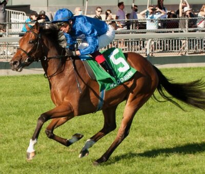 Wild Beauty, horse, Godolphin, Natalma Stakes, domingo, 19 de septiembre de 2021, Woodbine. Foto: Michael Burns Photography