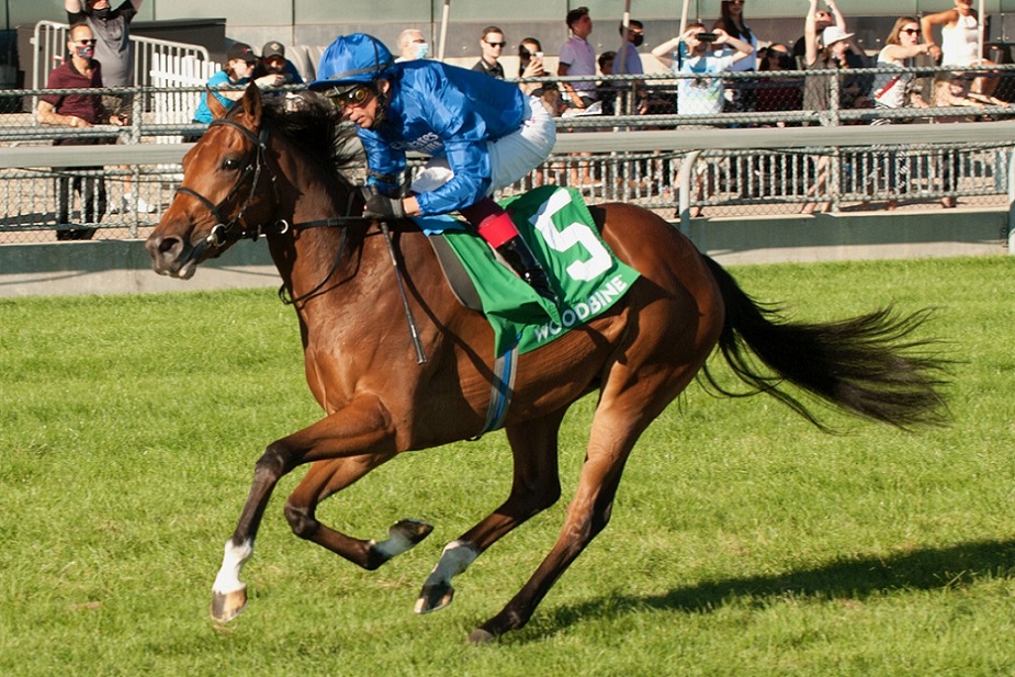 Wild Beauty con un remate violento ganó el Natalma Stakes Hípica Global