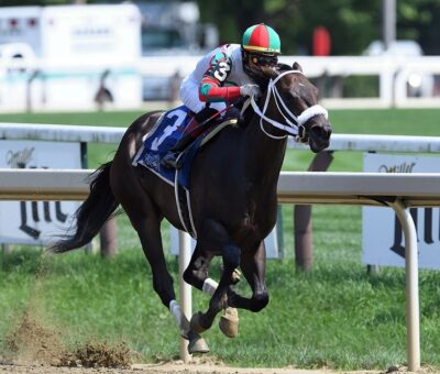 November Rein, horse, Mr. Amore Stable, Seeking The Ante Stakes, viernes, 27 de agosto de 2021, Saratoga. Foto: Coglianese Photo & Dom Napolitano