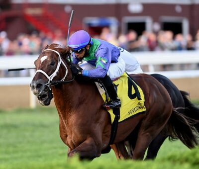 Pulsate, horse, Robert Ribaudo, Lucky Coin Stakes, viernes, 3 de septiembre de 2021, Saratoga. Foto: Coglianese Photo & Chelsea Durand
