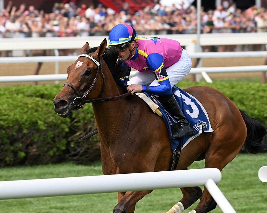 War Like Goddess, horse, English Channel, Flower Bowl, sábado, 4 de septiembre de 2021, Saratoga. Foto: Coglaniese Photo & Chelsea Durand