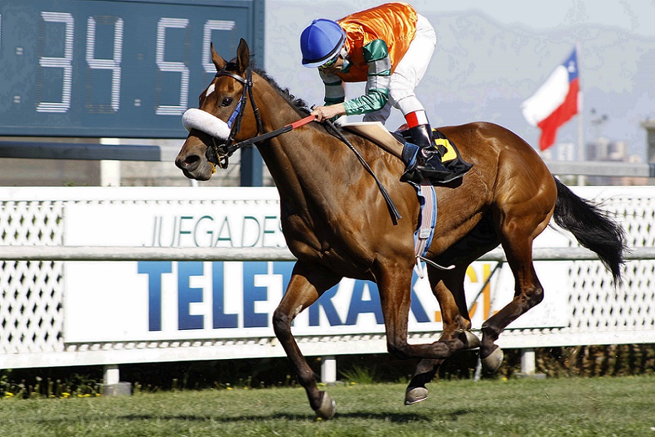 Australia Mía, horse, Street Sense, Clásico Nacional Mayores, domingo, 3 de octubre de 2021, Club Hípico de Santiago. Foto: Jaime Cortés