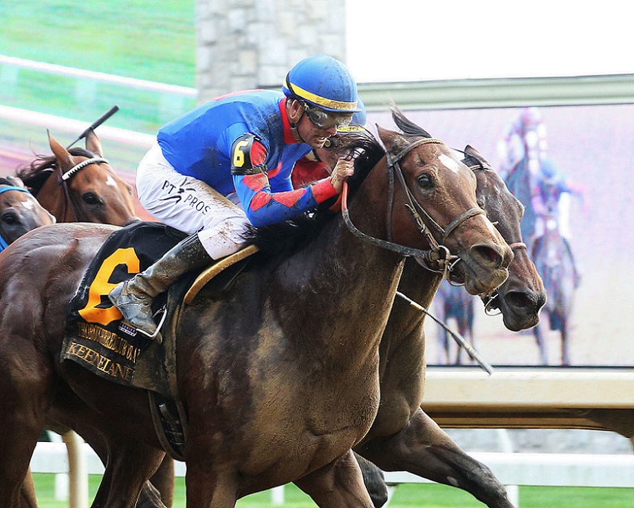Bell´s The One, horse, Majesticperfection, Thoroughbred Club Of America, sábado, 9 de octubre de 2021, Keeneland. Foto: Coady Photography