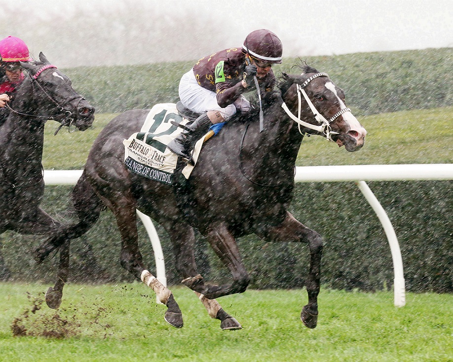 Change Of Control, horse, Fed Biz, Buffalo Trace Franklin County Stakes, viernes, 15 de octubre de 2021, Keeneland. Foto: Coady Photo