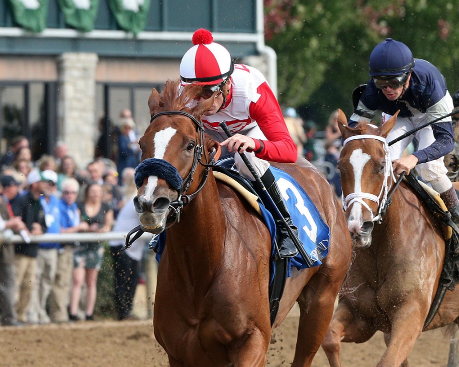 Cheetara, horse, Los Leones, Allowance Optional Claiming, domingo, 24 de octubre de 2021, Keeneland. Foto: Coady Photo