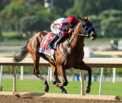 Corniche, horse, Quality Road, American Phorah Stakes, viernes, 1 de octubre de 2021, Santa Anita Park. Foto: Benoit Photo