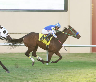 Golden Curl, horse, Curlin, Rick Memorial, domingo, 26 de septiembre de 2021, Remington Park. Foto: Dustin Orona