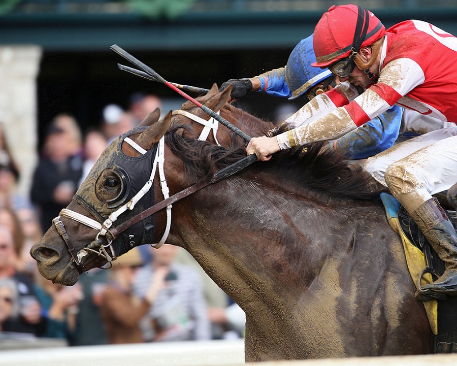 He´smyhoneybadger, horse, Steve Landers Racing LLC, Perryville Stakes, sábado, 23 de octubre de 2021, Keeneland. Foto: Coady Photo