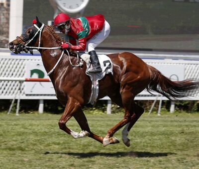 Incredible, horse, Haras Sumaya, Clásico Nacional Machos y Hembras, domingo, 3 de octubre de 2021, Club Hípico de Santiago. Foto: Jaime Cortés