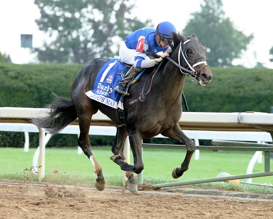 Juju´s Map, horse, Liam´s Map, Darley Alcibiades Stakes, viernes, 8 de octubre de 2021, Keeneland. Foto: Coady Photography