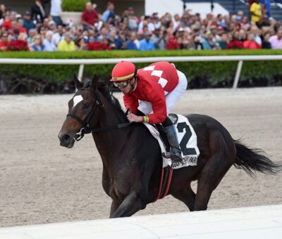 Kulkukán, horse, Cuadra San Jorge, Copa Confraternidad Del Caribe, domingo, 9 de diciembre de 2019, Gulfstream Park. Foto: Coglaniese Photo
