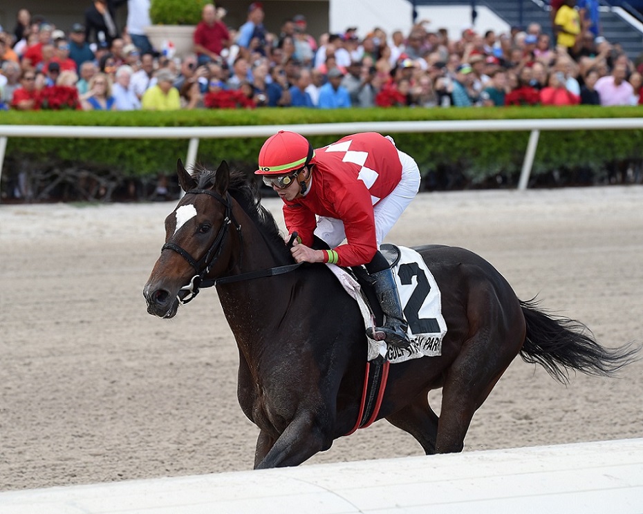 Kulkukán, horse, Cuadra San Jorge, Copa Confraternidad Del Caribe, domingo, 9 de diciembre de 2019, Gulfstream Park. Foto: Coglaniese Photo