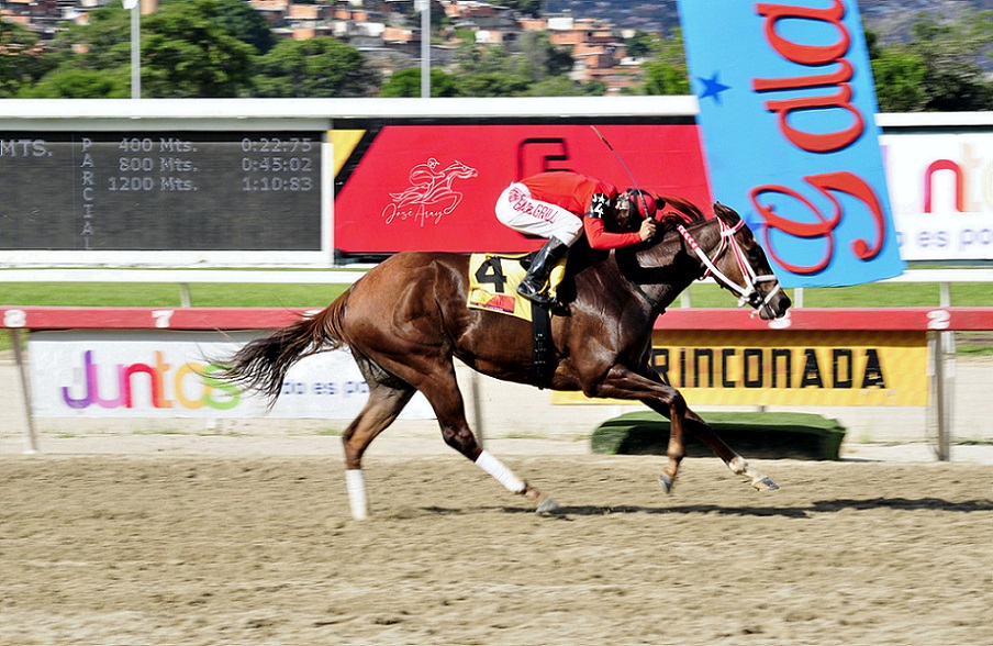 La Nena, horse, Siete C, Clásico Sprinters Yeguas, domingo, 3 de octubre de 2021, La Rinconada. Foto: José Antonio Aray