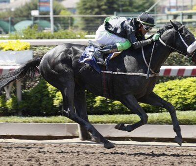 Neomagic, horse, Viscount Nelson, Clásico Círculo de Dueños F. S. de Carreras A. G., jueves, 28 de octubre de 2021, Club Hípico de Santiago. Foto: Jaime Cortés