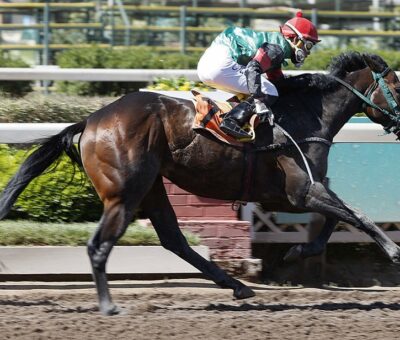 No Pain No Gain, horse, Haras Dadinco, Clásico Mega, jueves, 28 de octubre de 2021, Club Hípico de Santiago. Foto: Jaime Cortés