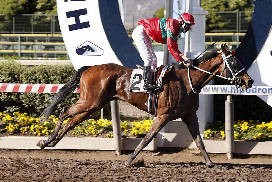 Norwegian Queen, horse, Stud Haras Sumaya, Clásico Fernando Coloma Reyes, sábado, 16 de octubre de 2021, Hipódromo Chile. Foto: Jaime Cortés