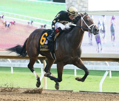 Special Reserve, horse, Russell L. Reineman INC, Stoll Keenon Ogden Phoenix Stakes, viernes, 8 de octubre de 2021, Keeneland. Foto: Coady Photography