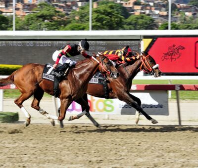 Strength Mask, horse, Haras Los Samanes, Clásico Sprinters, domingo, 3 de octubre de 2021, La Rinconada. Foto: José Antonio Aray