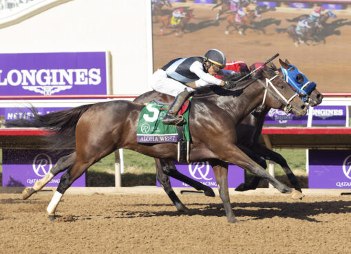 Aloha West, horse, Hard Spun, Breeders Cup Qatar Racing Sprint, sábado, 6 de noviembre de 2021, Del Mar. Foto: Benoit Photo / @benoitphoto_