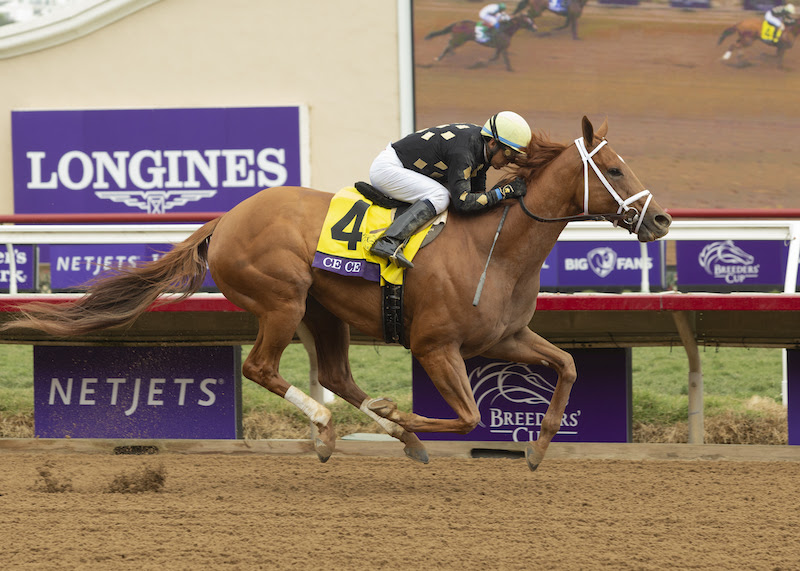 Ce Ce, horse, Elusive Quality, Breeders Cup Filly and Mare Sprint, sábado, 6 de noviembre de 2021, Del Mar. Foto: Benoit Photo / @benoitphoto_