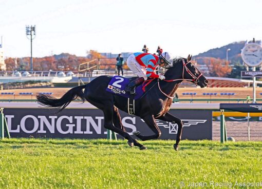 Contrail, horse, Deep Impact, Japan Cup, domingo, 28 de noviembre de 2021, Tokyo Racecourse. Foto: JRA