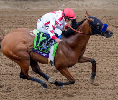 Corniche, horse, Quality Road, Breeders Cup Juvenile, viernes, 5 de noviembre de 2021, Del Mar. Foto: Eclipse Sportswire