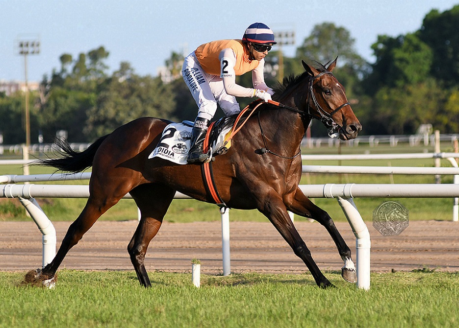 Didia, horse, Haras La Manija, Clásico Enrique Acebal, sábado, 6 de noviembre de 2021, Hipódromo de San Isidro. Foto: Prensa HSI