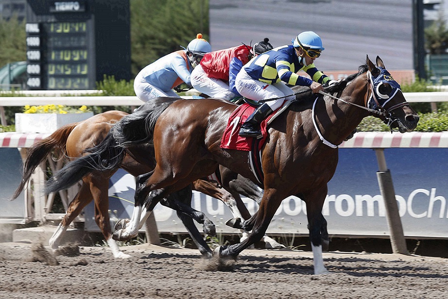 El Egipcio, horse, Haras Carioca, Clásico Andrés Morandé Tocornal, jueves, 18 de noviembre de 2021, Hipódromo Chile. Foto: Jaime Cortés