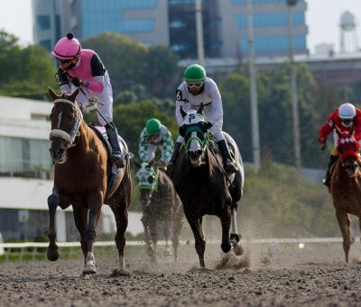 Hoshi, horse, Ruller Chief, Criadores Mexicanos Potras, sábado, 30 de octubre de 2021, Hipódromo de Las Américas. Foto: Miguel Ángel Espinoza