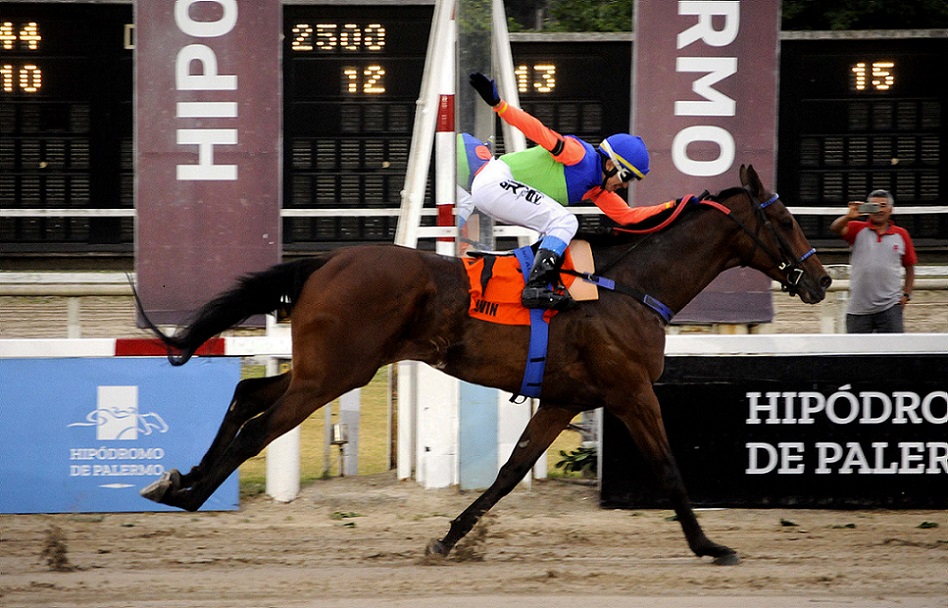Irwin, horse, Seek Again, Clásico Premio Nacional, sábado, 13 de noviembre de 2021, Hipódromo de Palermo. Foto: Prensa Palermo