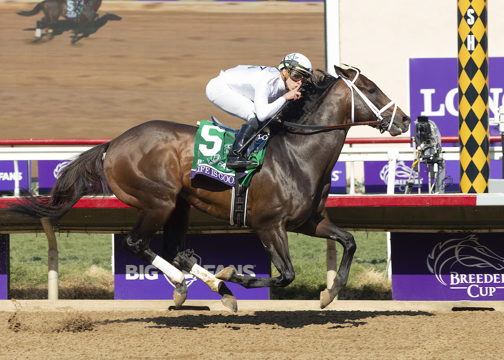 Life Is Good, horse, Into Mischief, Breeders Cup Juvenile Dirt Mile, sábado, 6 de noviembre de 2021, Del Mar. Foto: Benoit Photo / @benoitphoto_