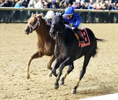Maxfield, horse, Street Sense, Clark Stakes, viernes, 26 de noviembre de 2021, Churchill Downs. Foto: Coady Photography