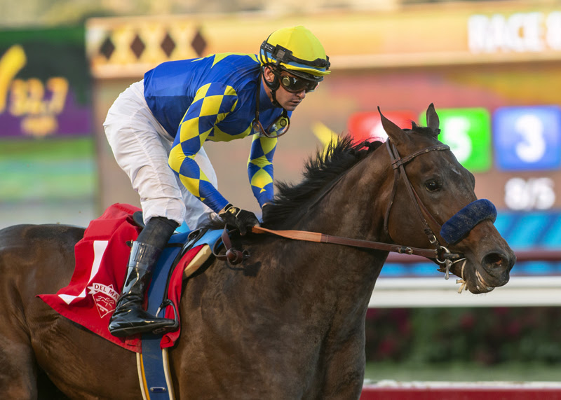 Messier, Horses, Empire Maker, Bob Hope Stakes, domingo, 14 de noviembre de 2021, Hipódromo de Del Mar. Foto: Benoit Photo