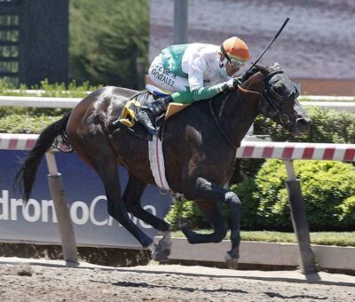 O´Connor, horse, Haras Carioca, Clásico José Miguel Carrera Verdugo, sábado, 20 de noviembre de 2021, Hipódromo Chile. Foto: Jaime Cortés