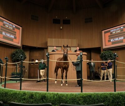Paris Lights, Horses, Bernardini en Paris Bikini por Bernardini, sesión 1, Keeneland Sales, lunes, 10 de noviembre de 2021, Keeneland. Foto: Keeneland