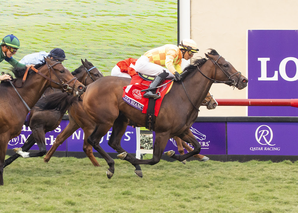 Pizza Bianca, horse, Quality Road, Breeders Cup Juvenile Fillies Turf, viernes, 5 de noviembre de 2021, Del Mar. Foto: Benoit Photo / @benoitphoto_