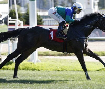 Pogbaa, horse, Stud Matriarca, Clásico Sigue Regaloncita, 24 de noviembre de 2021, Valparaíso Sporting Club. Foto: Jaime Cortés